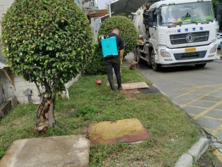 清理化粪池后消毒工作